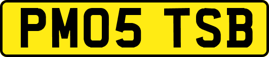 PM05TSB