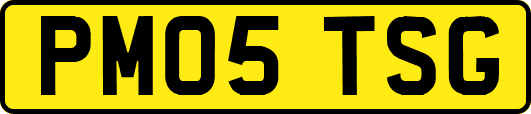 PM05TSG