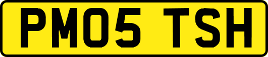 PM05TSH