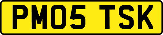 PM05TSK