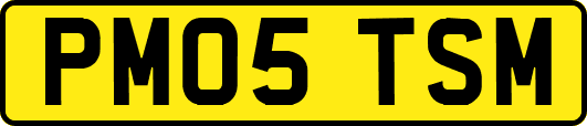 PM05TSM