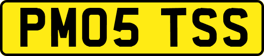 PM05TSS