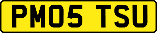 PM05TSU