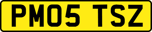 PM05TSZ