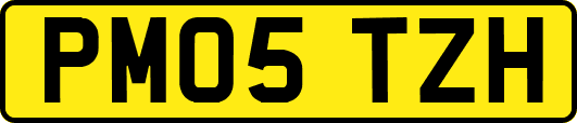 PM05TZH