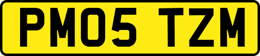 PM05TZM