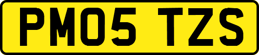 PM05TZS