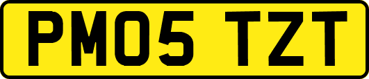 PM05TZT