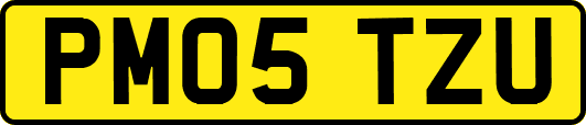 PM05TZU