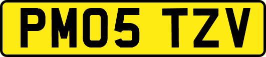 PM05TZV