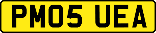 PM05UEA