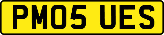 PM05UES