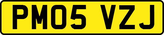 PM05VZJ