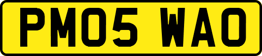 PM05WAO