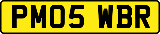 PM05WBR