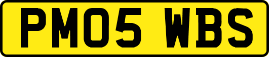 PM05WBS