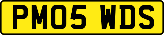 PM05WDS