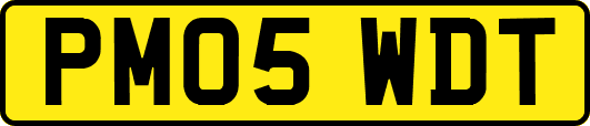 PM05WDT