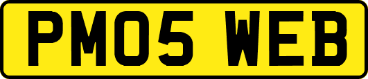 PM05WEB