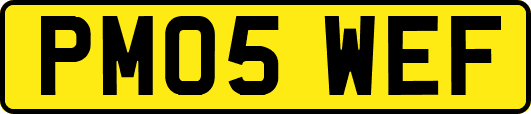 PM05WEF