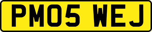 PM05WEJ