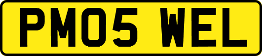 PM05WEL