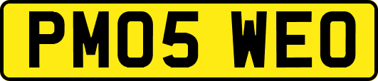 PM05WEO