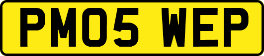 PM05WEP