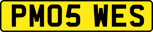 PM05WES