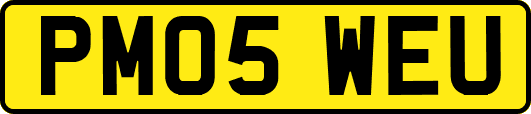 PM05WEU