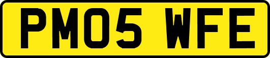 PM05WFE