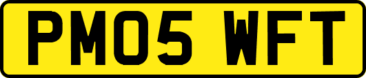 PM05WFT