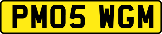 PM05WGM