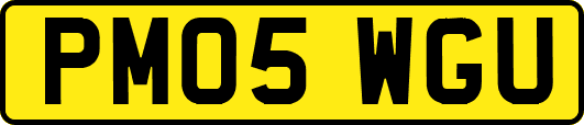 PM05WGU