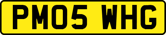 PM05WHG