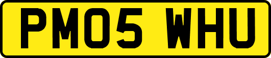 PM05WHU