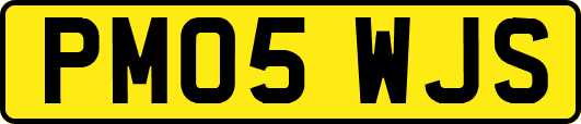 PM05WJS