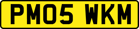 PM05WKM