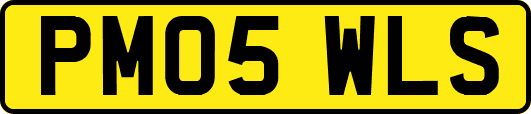 PM05WLS