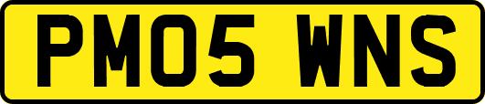 PM05WNS