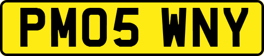 PM05WNY