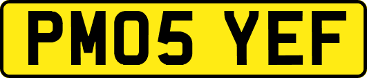 PM05YEF