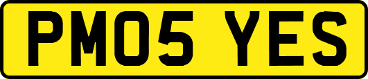 PM05YES
