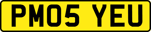 PM05YEU