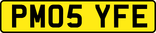 PM05YFE