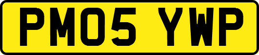 PM05YWP