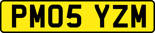PM05YZM