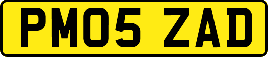 PM05ZAD