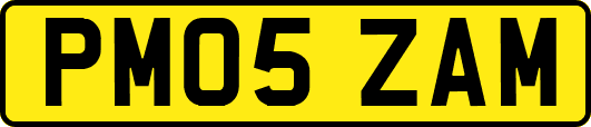 PM05ZAM