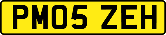 PM05ZEH